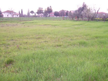 Terreno edificabile a Cepagatti in C.da S.Agata