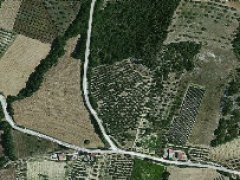 Lotto di terreno agricolo coltivato ad uliveto a Rosciano in C.da Valle Galelle - 4