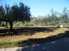 Lotto di terreno edificabile e agricolo a Cepagatti in Via Pastini - 1