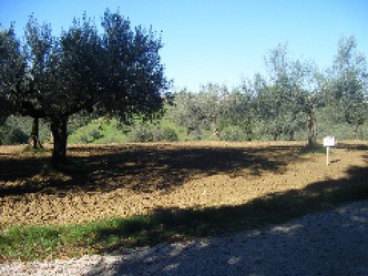 Lotto di terreno edificabile e agricolo a Cepagatti in Via Pastini - 1