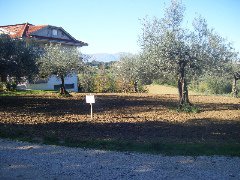 Lotto di terreno edificabile e agricolo a Cepagatti in Via Pastini - 2