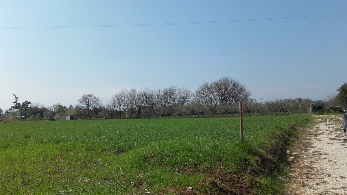 Vendita Terreno Residenziale Cepagatti