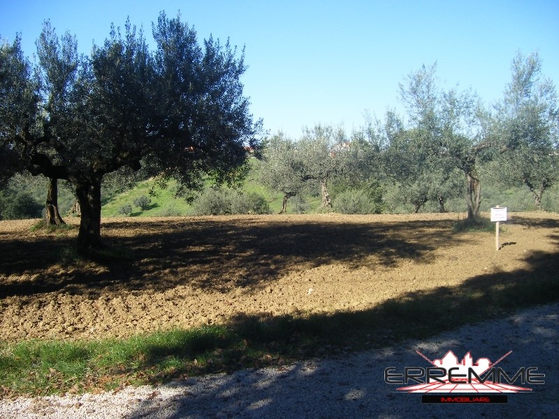 Terreno Residenziale in Vendita Cepagatti