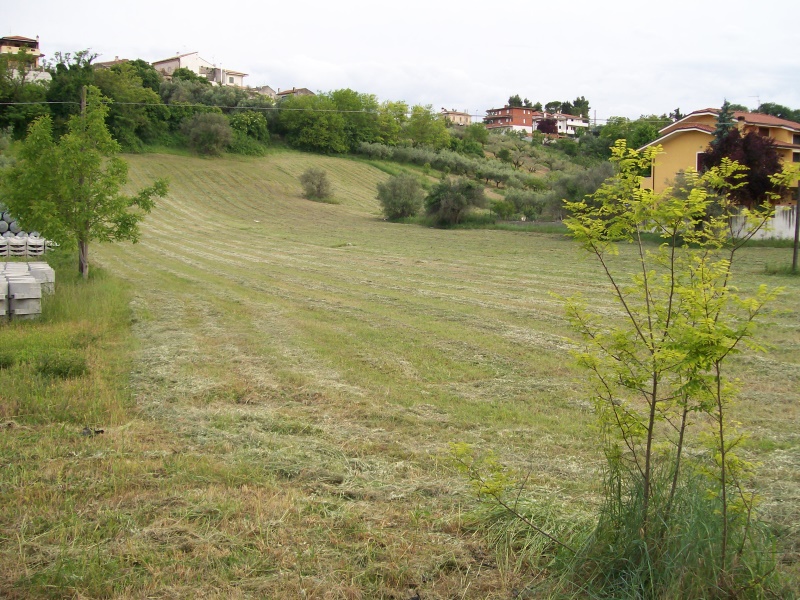 Terreno Residenziale Rosciano PE2743