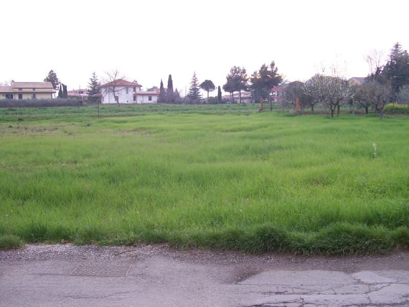 Vendita Terreno Residenziale Cepagatti