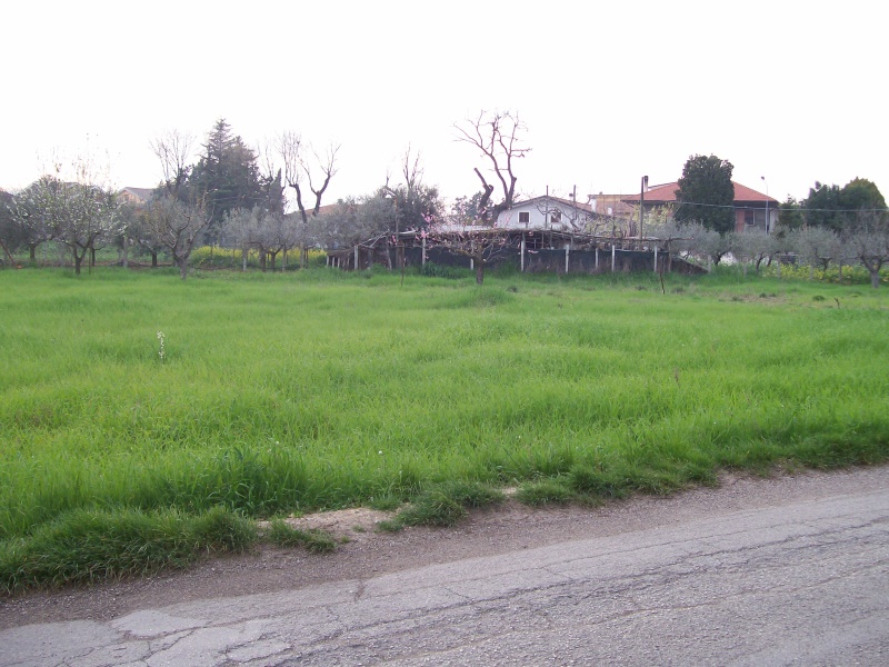 Terreno Residenziale Cepagatti PE2691